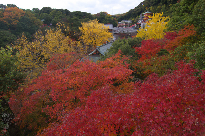 信貴山朝護孫子寺紅葉_2012yaotomi_20.jpg