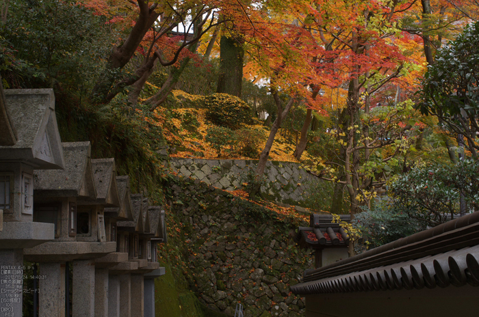 信貴山朝護孫子寺紅葉_2012yaotomi_25.jpg