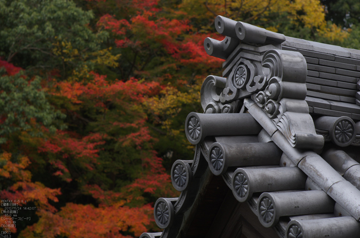 信貴山朝護孫子寺紅葉_2012yaotomi_26.jpg