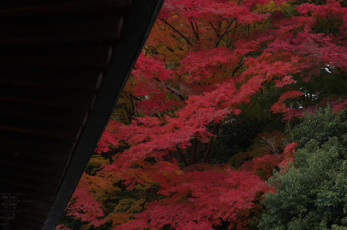 信貴山朝護孫子寺紅葉_2012yaotomi_27.jpg