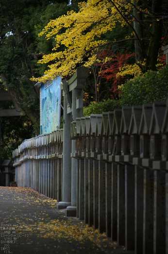 信貴山朝護孫子寺紅葉_2012yaotomi_3.jpg