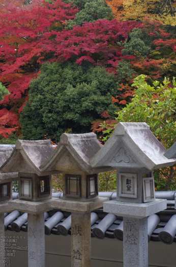 信貴山朝護孫子寺紅葉_2012yaotomi_7.jpg