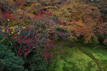 瑠璃光院紅葉_2012yaotomi_11.jpg