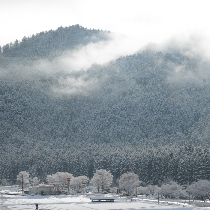 美山かやぶきの里_雪景_201212yaotomi_20t.jpg