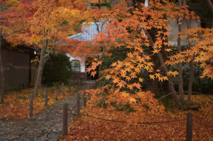 蓮華寺紅葉_2012yaotomi_16.jpg