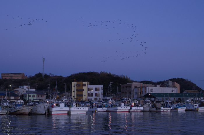 知多半島・師崎港_日の出2013_K-5IIs_5s.jpg