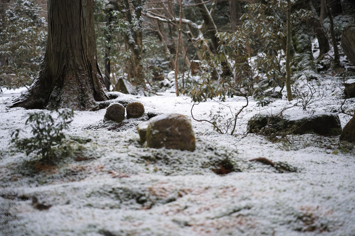 三千院_雪景_SIGMA_DP3merrill_2013yaotomi_12s.jpg