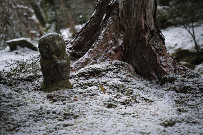 三千院_雪景_SIGMA_DP3merrill_2013yaotomi_13s.jpg