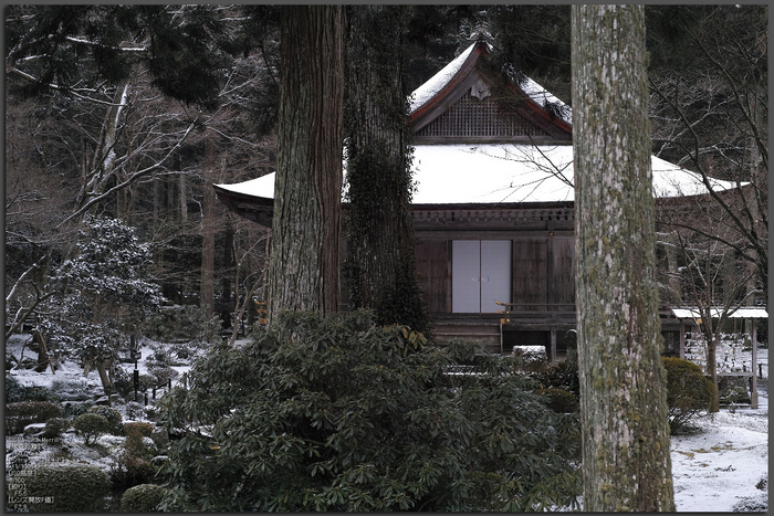 三千院_雪景_SIGMA_DP3merrill_2013yaotomi_1st.jpg