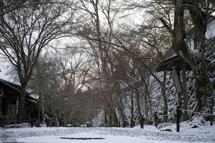 三千院_雪景_SIGMA_DP3merrill_2013yaotomi_23s.jpg