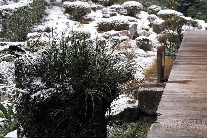 三千院_雪景_SIGMA_DP3merrill_2013yaotomi_5s.jpg