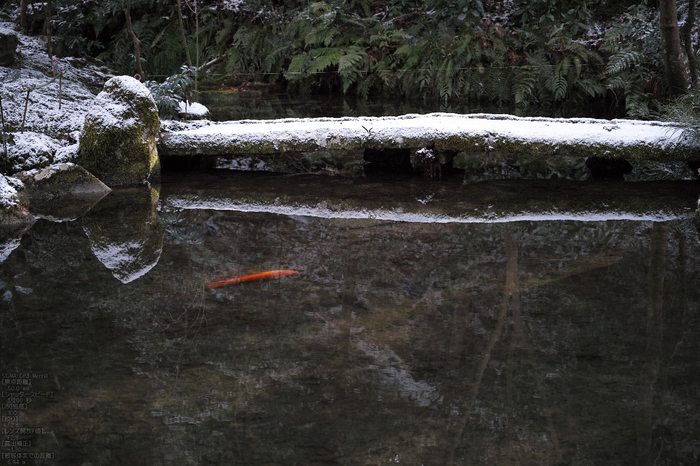 三千院_雪景_SIGMA_DP3merrill_2013yaotomi_8s.jpg