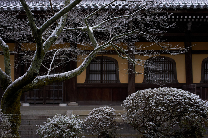 南禅寺_雪景_2013yaotomi_13s.jpg