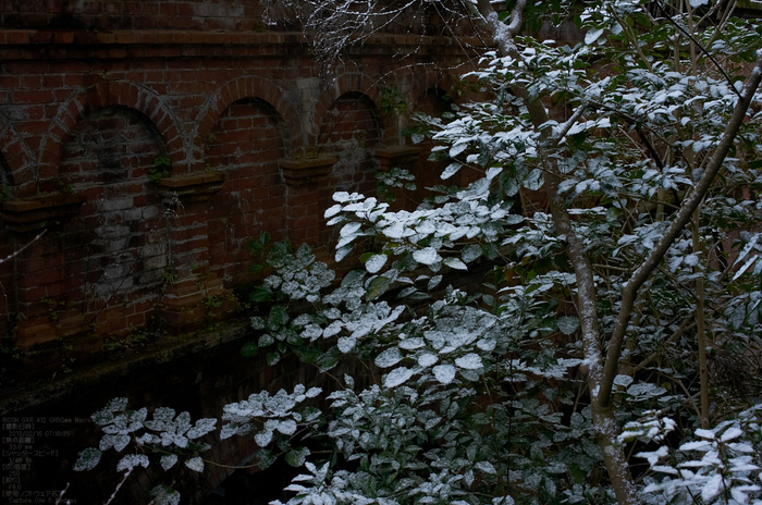 南禅寺_雪景_2013yaotomi_15s.jpg