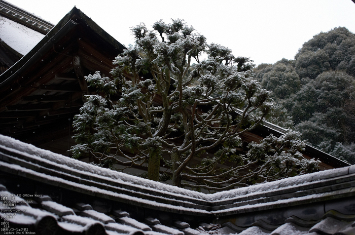 南禅寺_雪景_2013yaotomi_16s.jpg