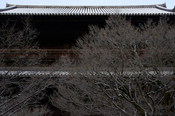 南禅寺_雪景_2013yaotomi_21s.jpg