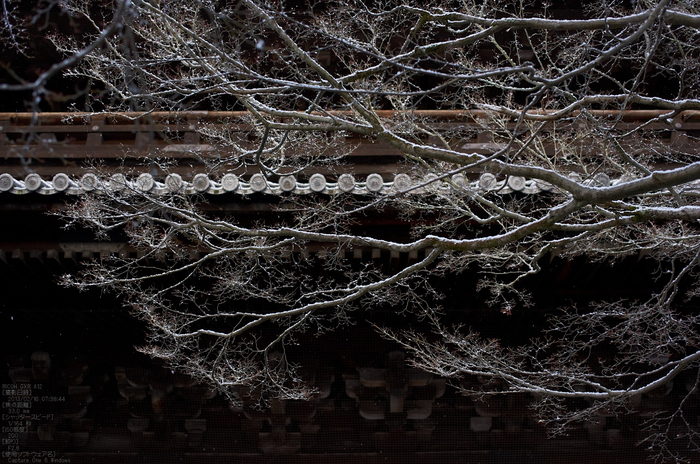 南禅寺_雪景_2013yaotomi_22s.jpg