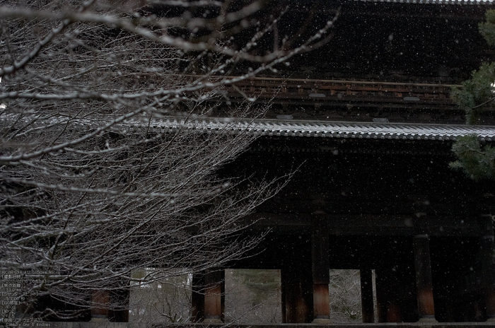 南禅寺_雪景_2013yaotomi_8s.jpg