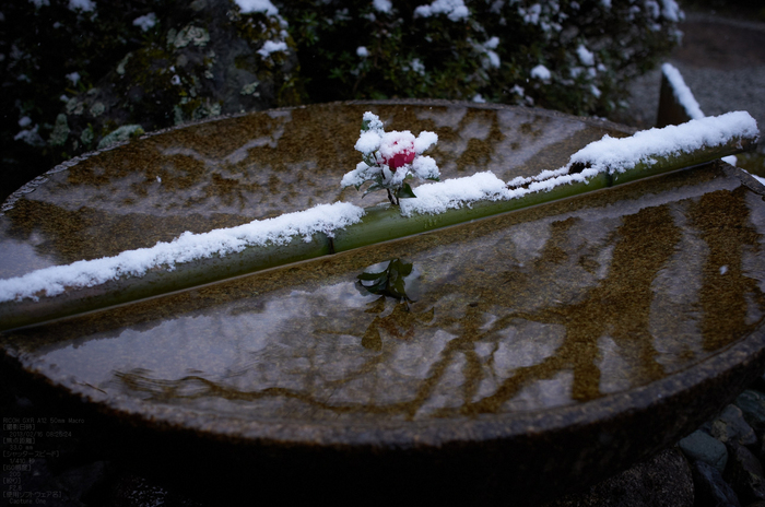 圓光寺_雪景_2013yaotomi_10s.jpg