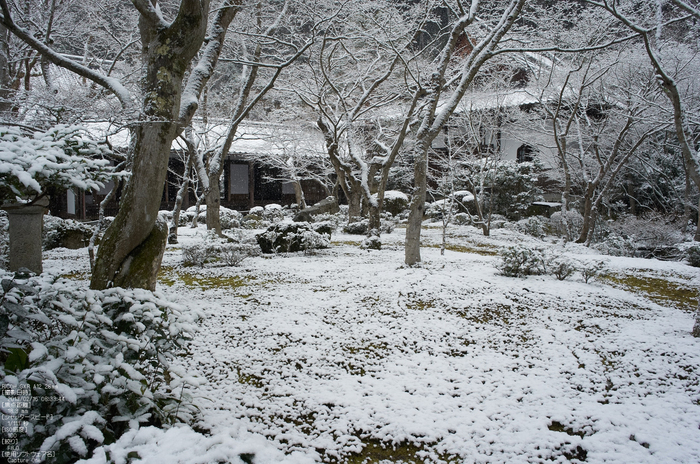 圓光寺_雪景_2013yaotomi_11s.jpg