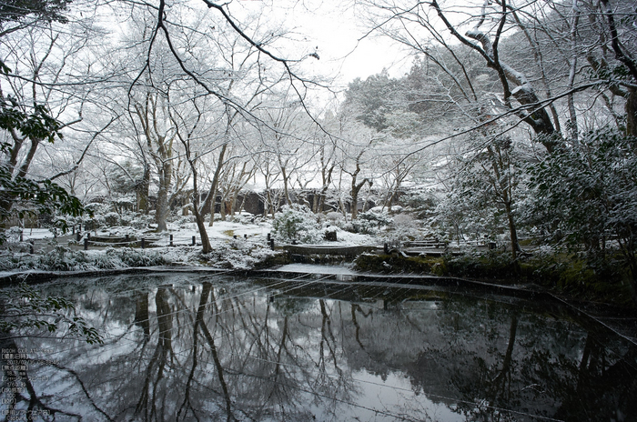 圓光寺_雪景_2013yaotomi_13s.jpg