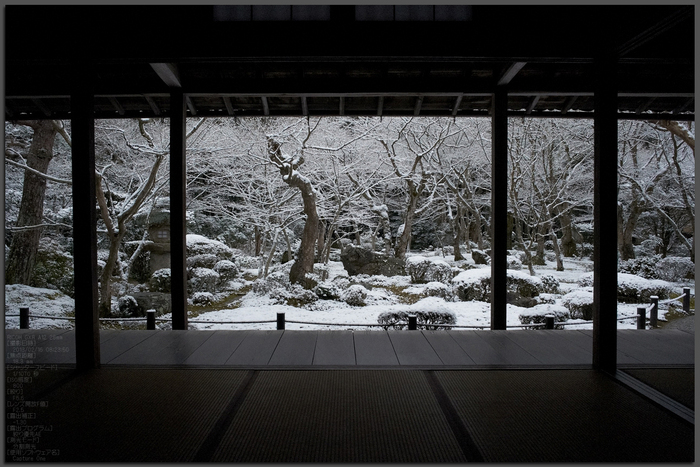 圓光寺_雪景_2013yaotomi_1st.jpg