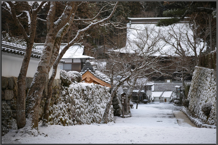 宝泉院雪景_SIGMADP3m_2013yaotomi_1st.jpg