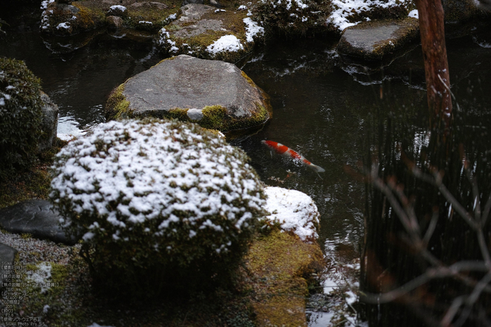 宝泉院雪景_SIGMADP3m_2013yaotomi_27s.jpg