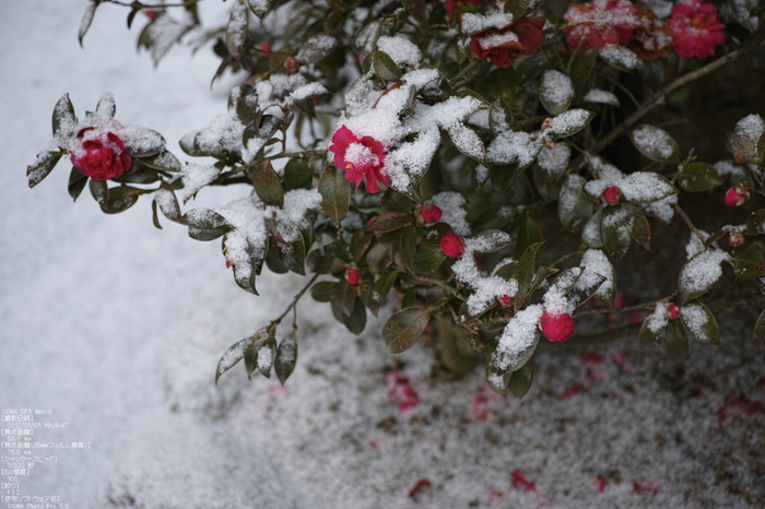 宝泉院雪景_SIGMADP3m_2013yaotomi_5s.jpg