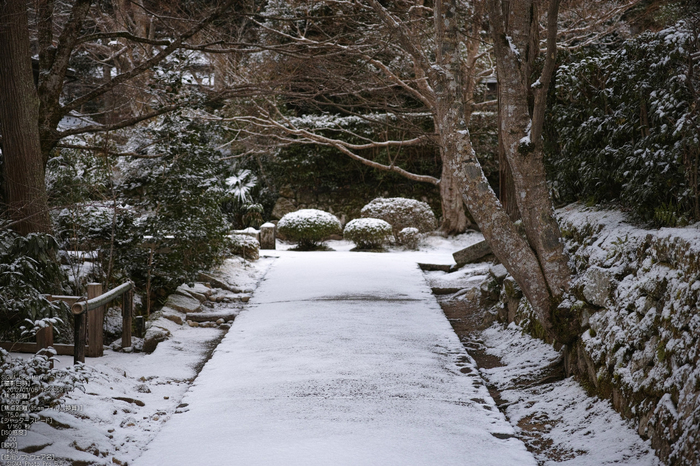 宝泉院雪景_SIGMADP3m_2013yaotomi_6s.jpg