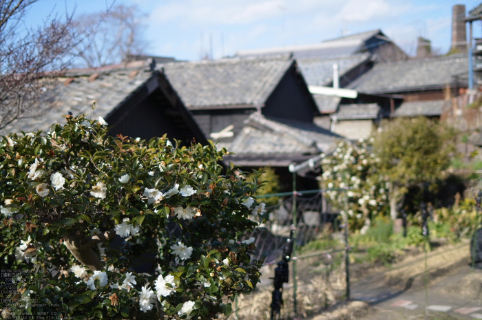 常滑_やきもの散歩道_2013yaotomi_53st.jpg