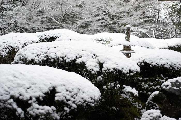 詩仙堂_雪景_2013yaotomi_10.jpg