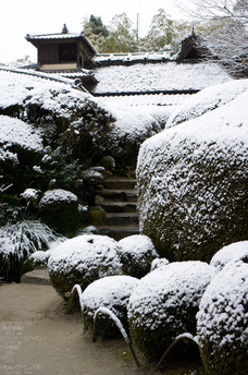 詩仙堂_雪景_2013yaotomi_12.jpg