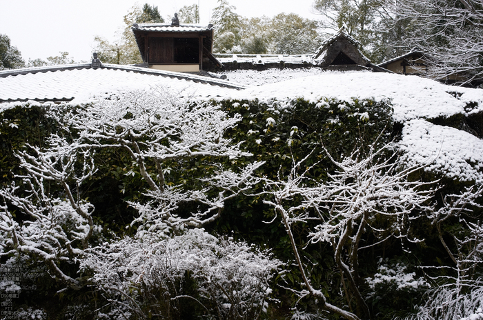 詩仙堂_雪景_2013yaotomi_13.jpg