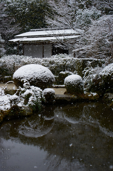 詩仙堂_雪景_2013yaotomi_16s.jpg