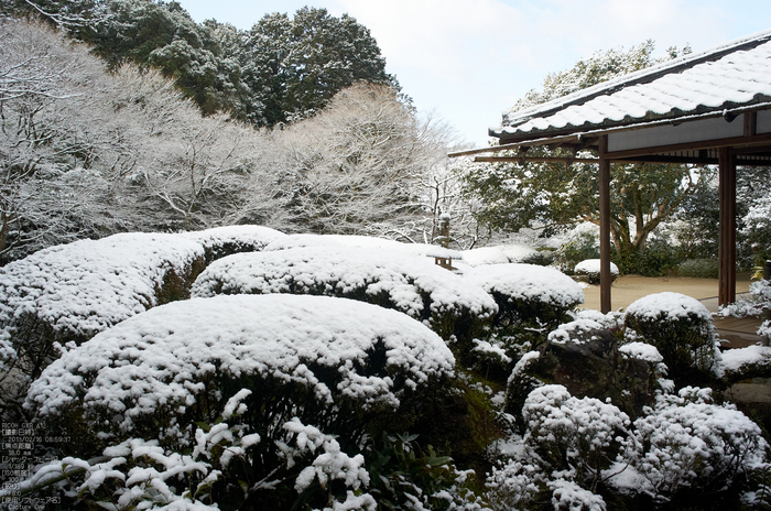 詩仙堂_雪景_2013yaotomi_5.jpg