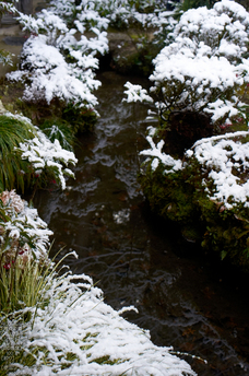 詩仙堂_雪景_2013yaotomi_8.jpg