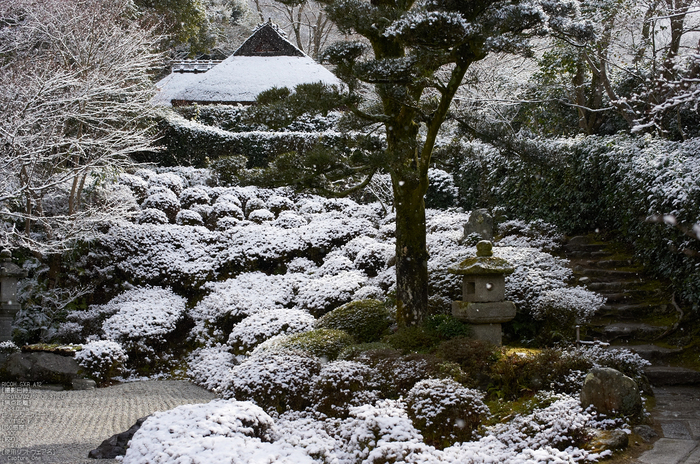 金福寺_雪景_2013yaotomi_11s.jpg