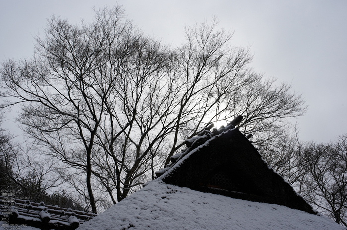 金福寺_雪景_2013yaotomi_16s.jpg