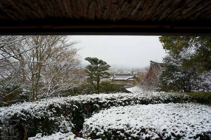 金福寺_雪景_2013yaotomi_7s.jpg