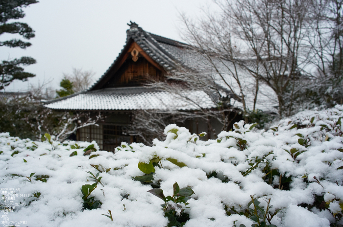 金福寺_雪景_2013yaotomi_8s.jpg