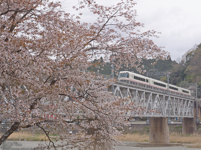 吉野山(下千本)_2013yaotomi_16s.jpg