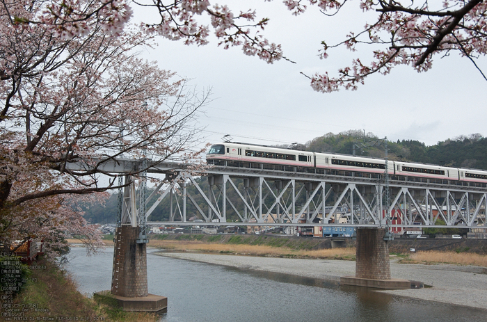 吉野山(下千本)_2013yaotomi_17s.jpg