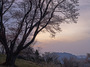 屏風岩公苑の桜_2013yaotomi_5f.jpg