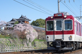 郡山城跡_桜_2013yaotomi_2s.jpg