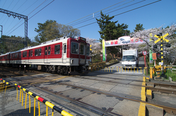 郡山城跡_桜_2013yaotomi_3s.jpg