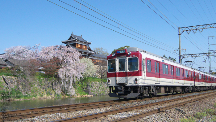 郡山城跡_桜_2013yaotomi_5s.jpg