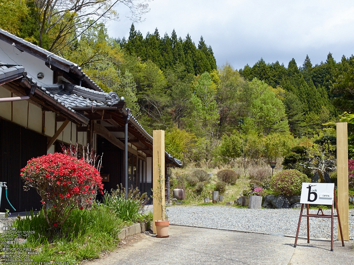 カフェb_2013yaotomi_1st.jpg