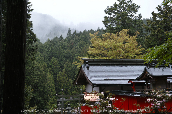 写真散歩会・お写ん歩_20130511yaotomi_27s.jpg