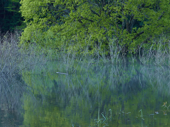 室生湖の新緑_2013yaotomi_103s.jpg